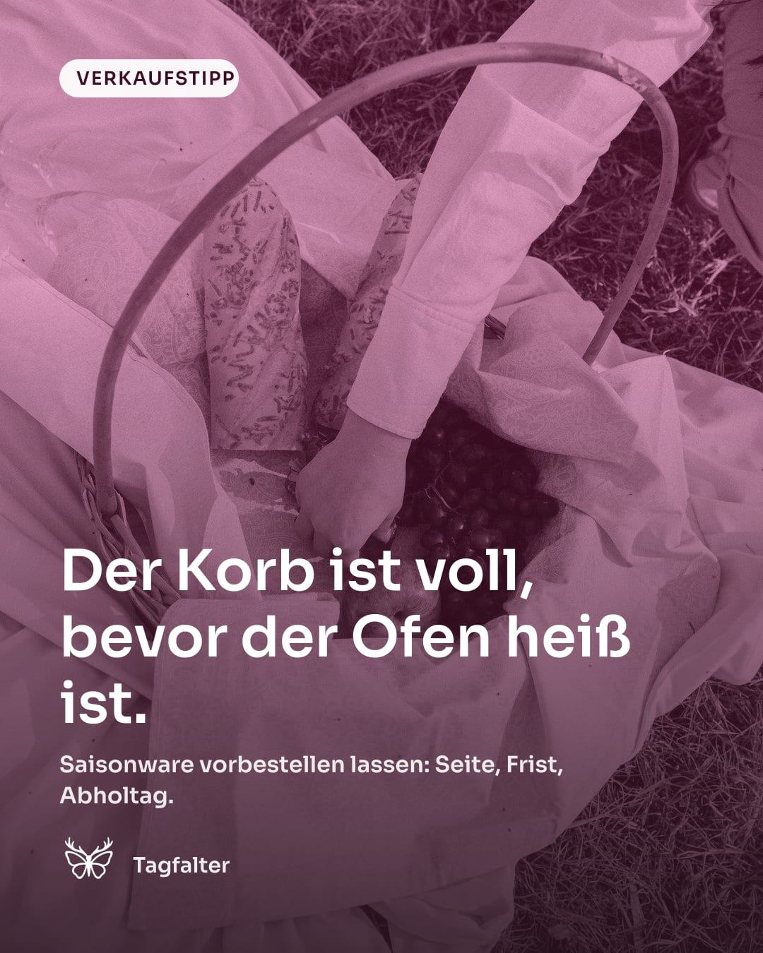 Hände legen frisch gebackene Brotlaibe in einen Weidenkorb auf einem Holztisch. Text im Bild: Verkaufstipp, Der Korb ist voll, bevor der Ofen heiß ist. Saisonware vorbestellen lassen: Seite, Frist, Abholtag.